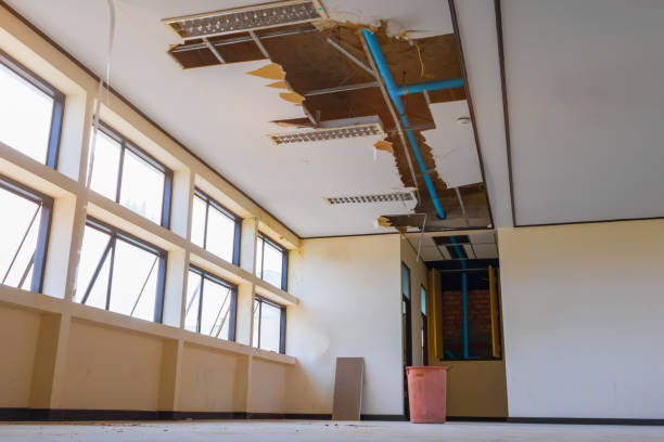 Best Ceiling water damage repair  in Gaithersburg, MD