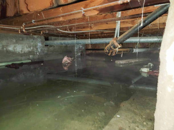 Best Sewage cleanup and water damage restoration  in Gaithersburg, MD