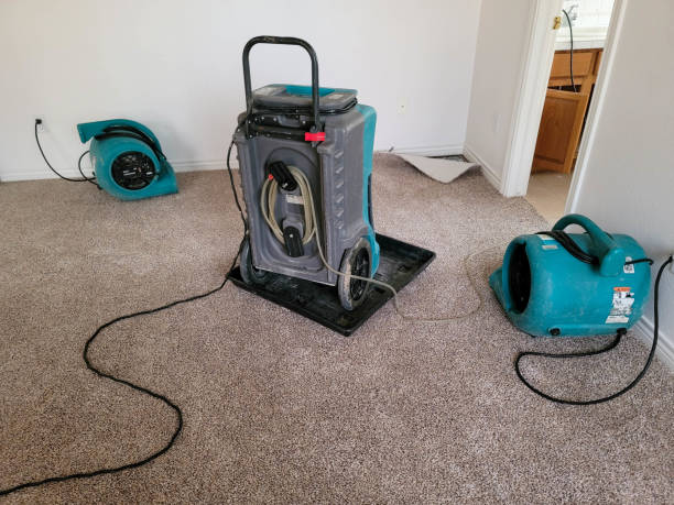 Best Water damage restoration services  in Gaithersburg, MD