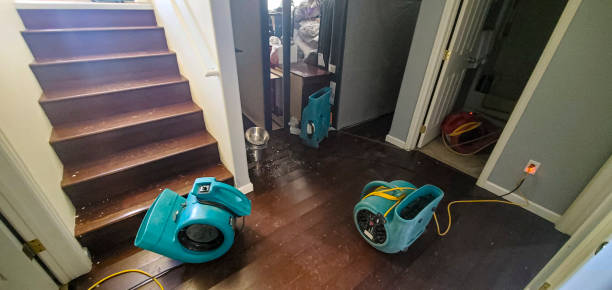 Best Local water damage restoration  in Gaithersburg, MD