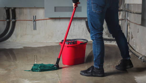 Best Basement water damage restoration  in Gaithersburg, MD