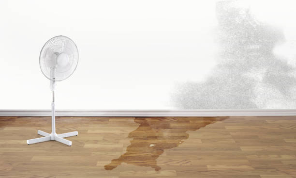 Best Mold removal after water damage  in Gaithersburg, MD