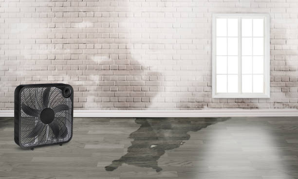 Best Mold removal after water damage  in Gaithersburg, MD