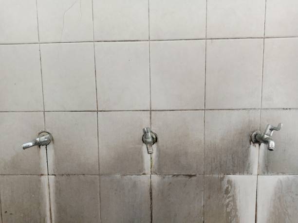 Best Water damage cleanup near me  in Gaithersburg, MD