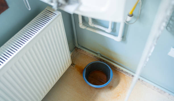 Best Water damage cleanup near me  in Gaithersburg, MD