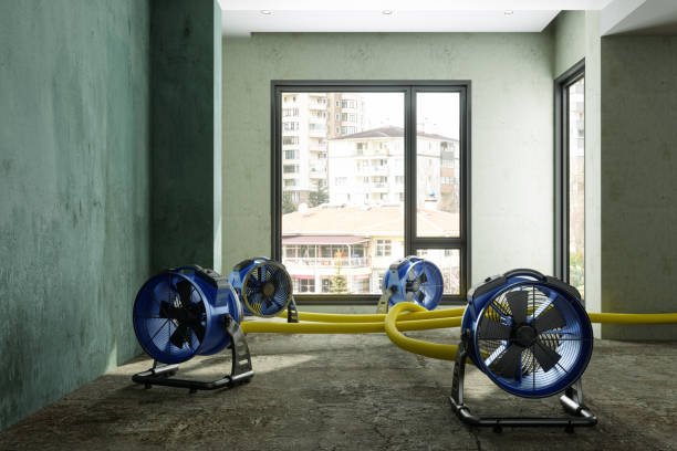 Best Water damage contractors near me  in Gaithersburg, MD