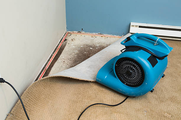 Best Water damage restoration cost  in Gaithersburg, MD